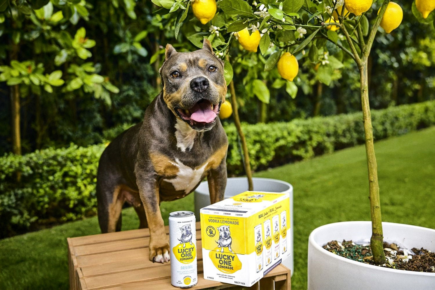 Gallo, Dave Portnoy & Miss Peaches Introduce Lucky One Vodka Lemonade ...